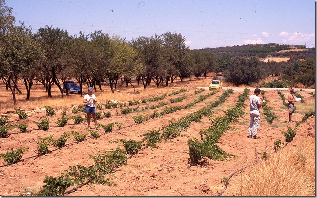 EKAS 2001_Perdhikaria