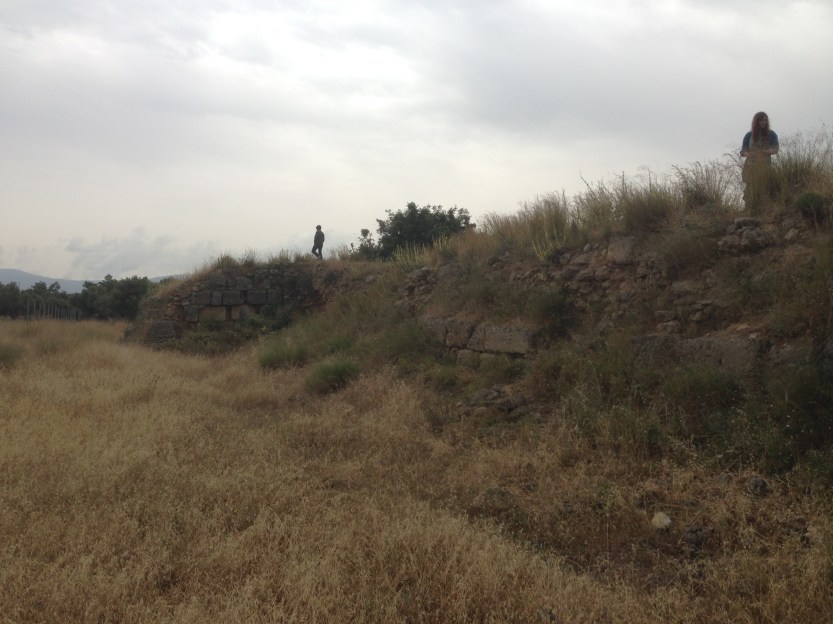 Photo by David Pettegrew, June 3, 2014